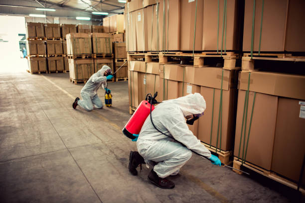 Best Best Pest Control Companies  in Bull Valley, IL