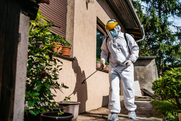 Best Mosquito Control Services  in Bull Valley, IL