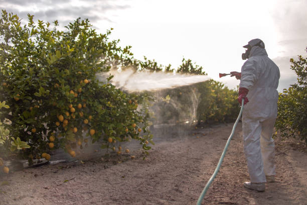 Best Ant Control Services  in Bull Valley, IL