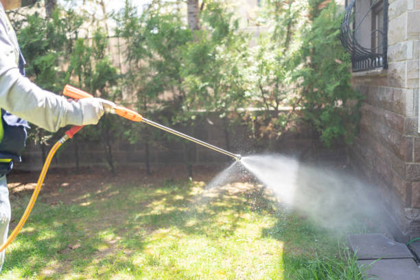 Best Pest Removal Services  in Bull Valley, IL