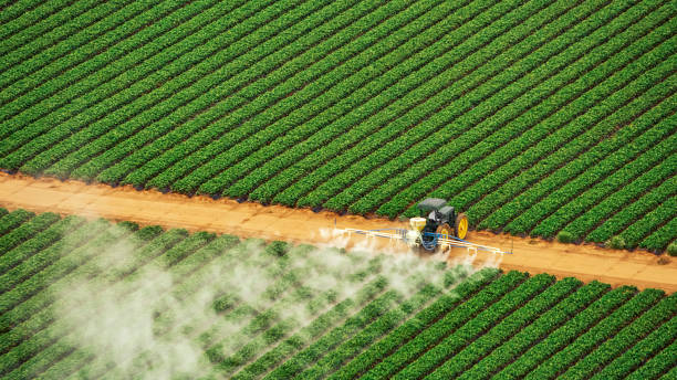 Best Pest Inspection Near Me  in Bull Valley, IL