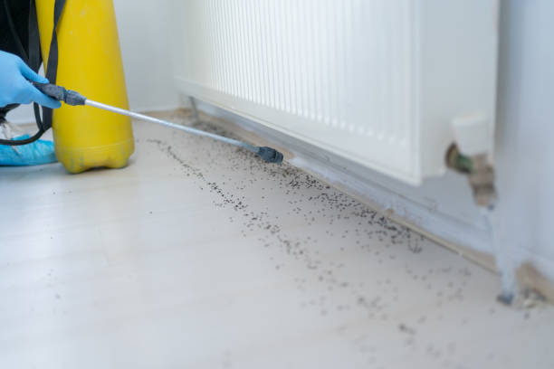 Professional Pest Control in Bull Valley, IL